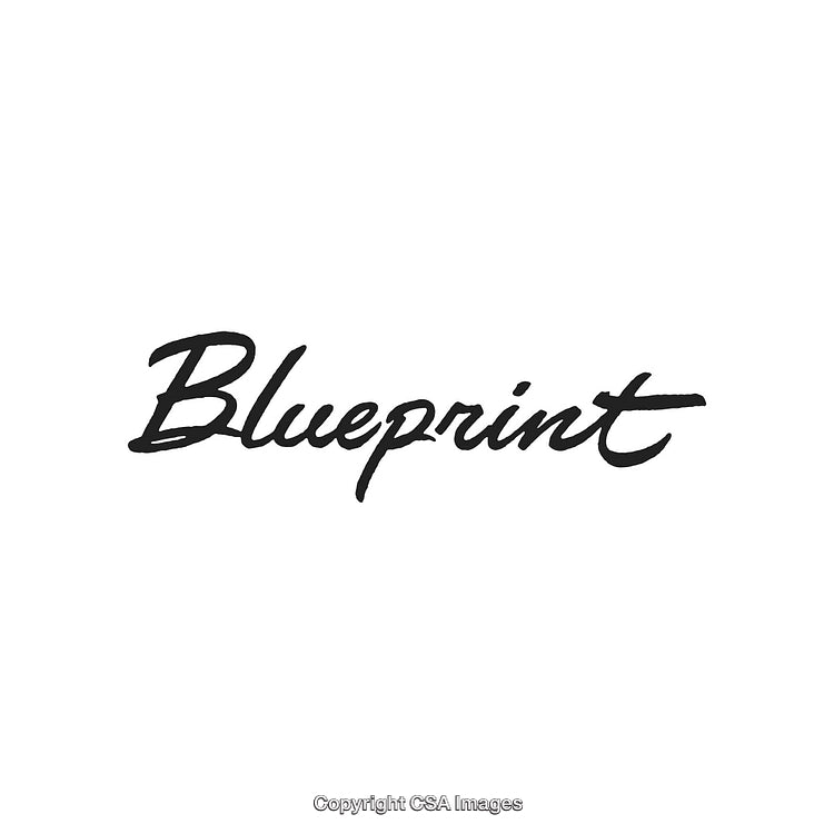 Elegant Handwritten Word 'Blueprint' on White Background in Script Typeface
