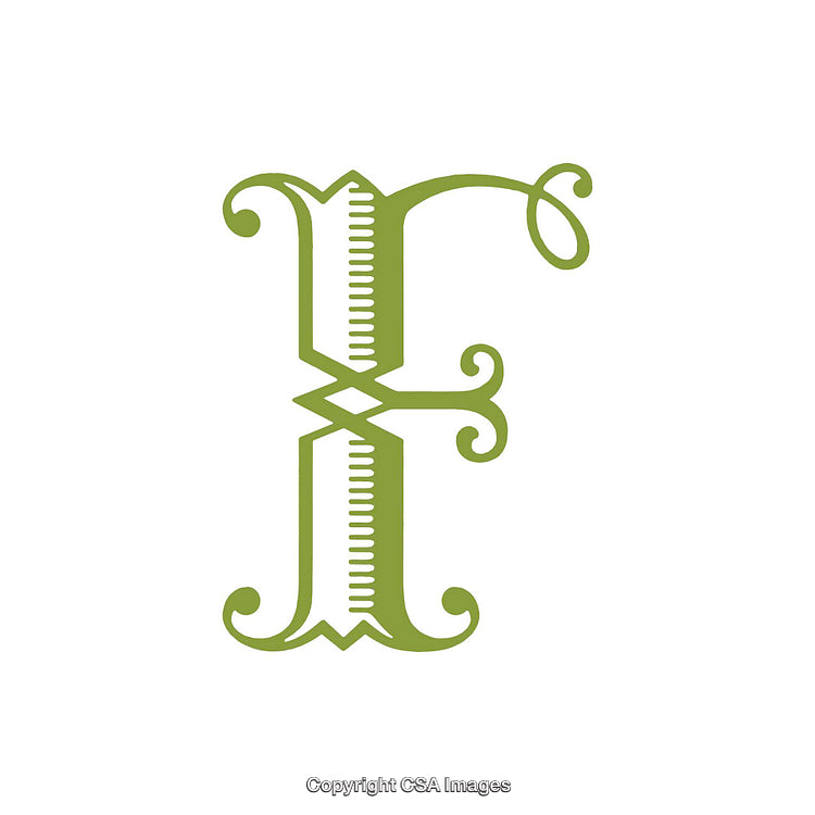 Elegant Green Letter E in an Ornate Design