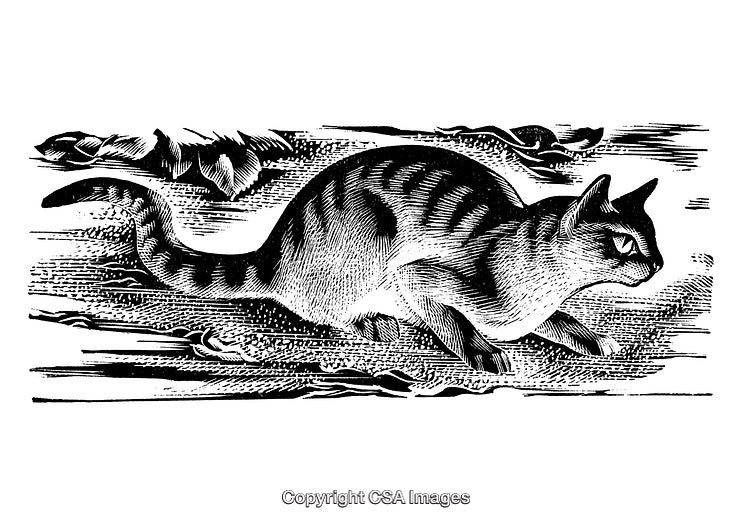Intricate Engraving of a Crouching Cat in Classic Black and White Style