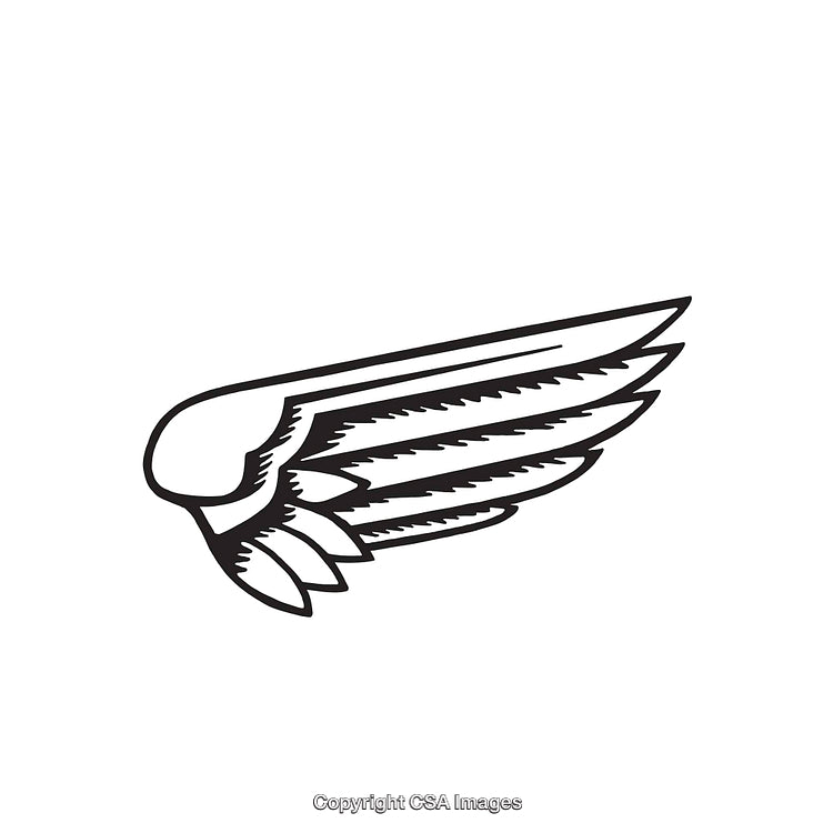 Black And White Line Art Illustration of Stylized Feathered Wing Design