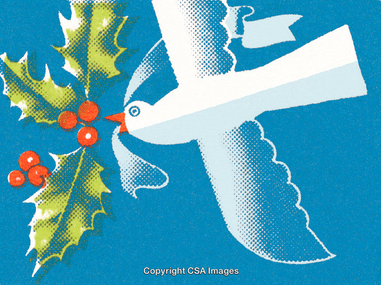 Peace Dove Holding Holly Sprigs on Blue Christmas Background
