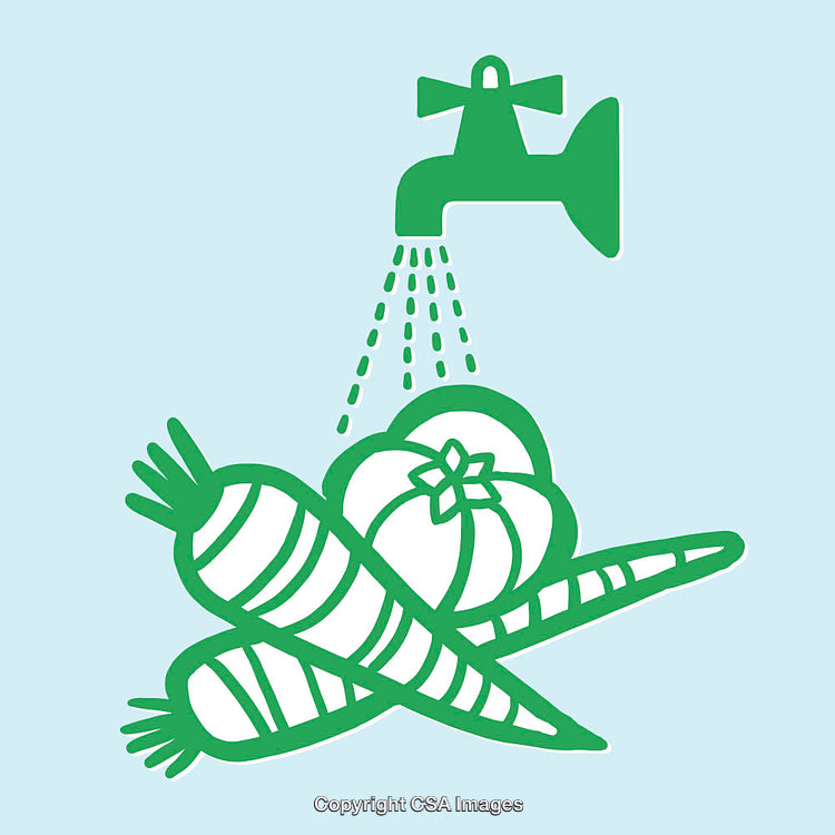 Food Hygiene Illustration Featuring Vegetables Being Washed Under Running Tap