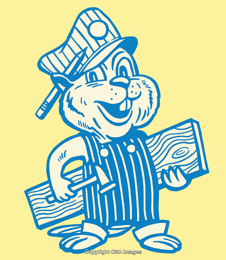 Cartoon Woodworker Animal Character in Overalls Holding Tools and Lumber