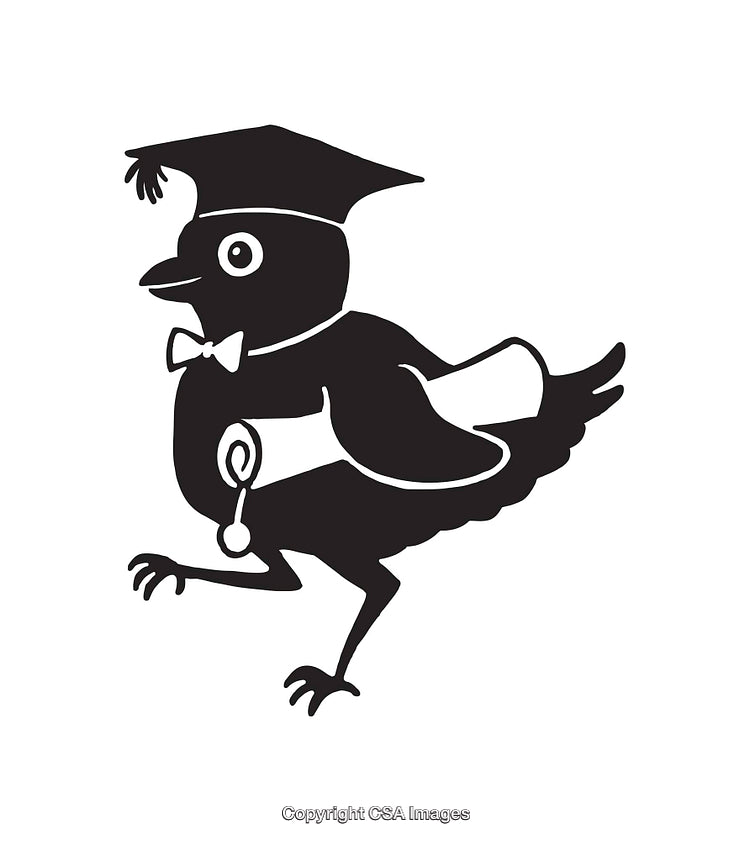 Black and White Line Art of a Bird in Academic Attire