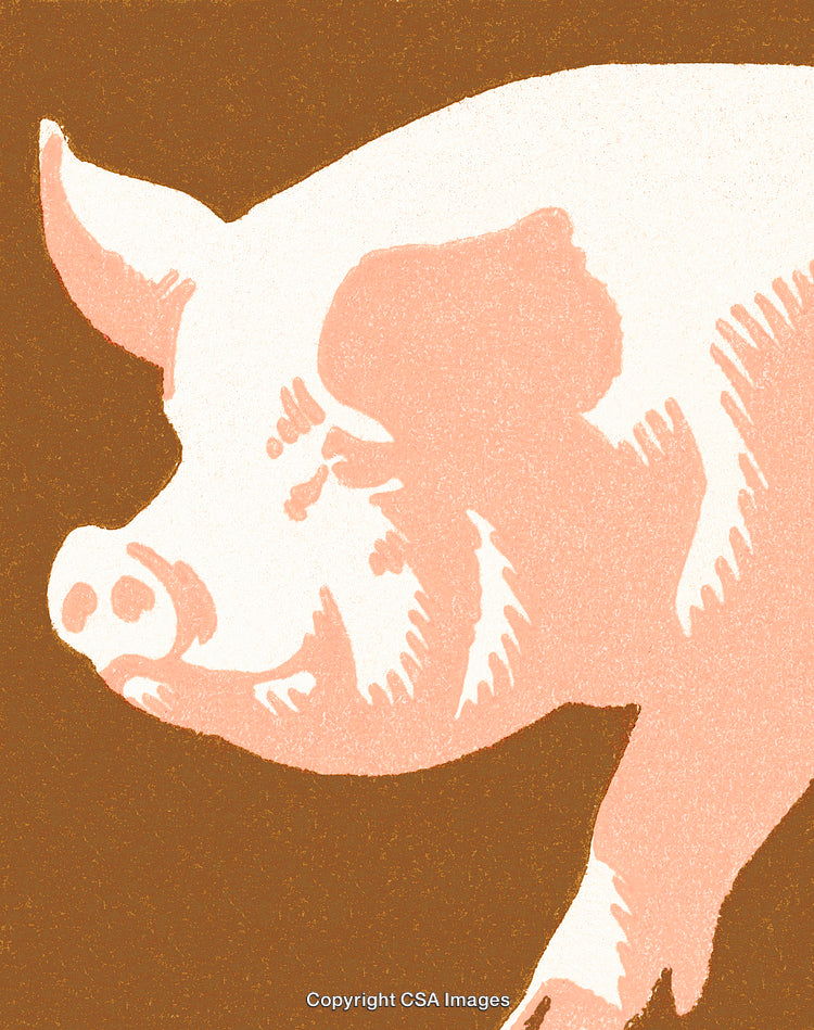 Abstract Illustration of a Pig in Stylish Pastel Color Tones