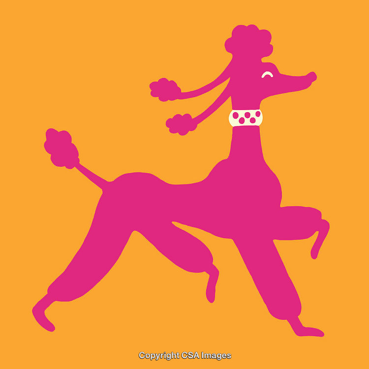 Bright Pink Poodle Illustration on Vibrant Orange Background in Modern Art Style