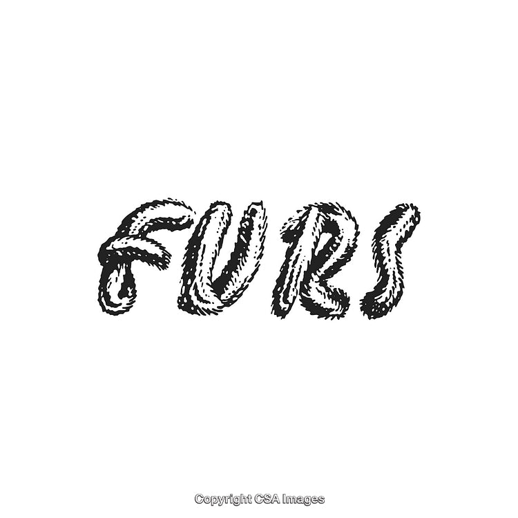 Fur-Themed Artistic Typography with Textured Letter Styling on White Background