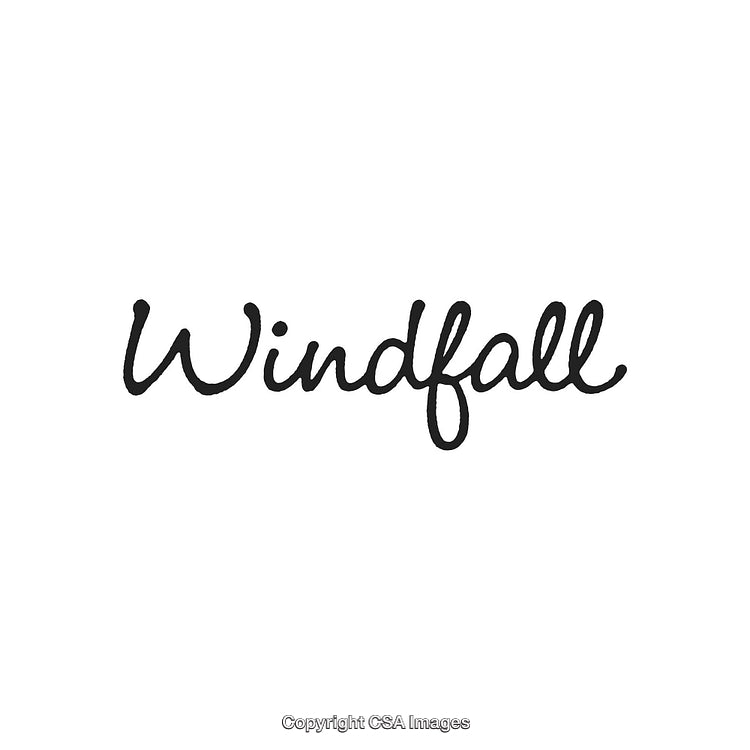 Elegant Calligraphy of the Word 'Windfall' in Black Ink on White Background