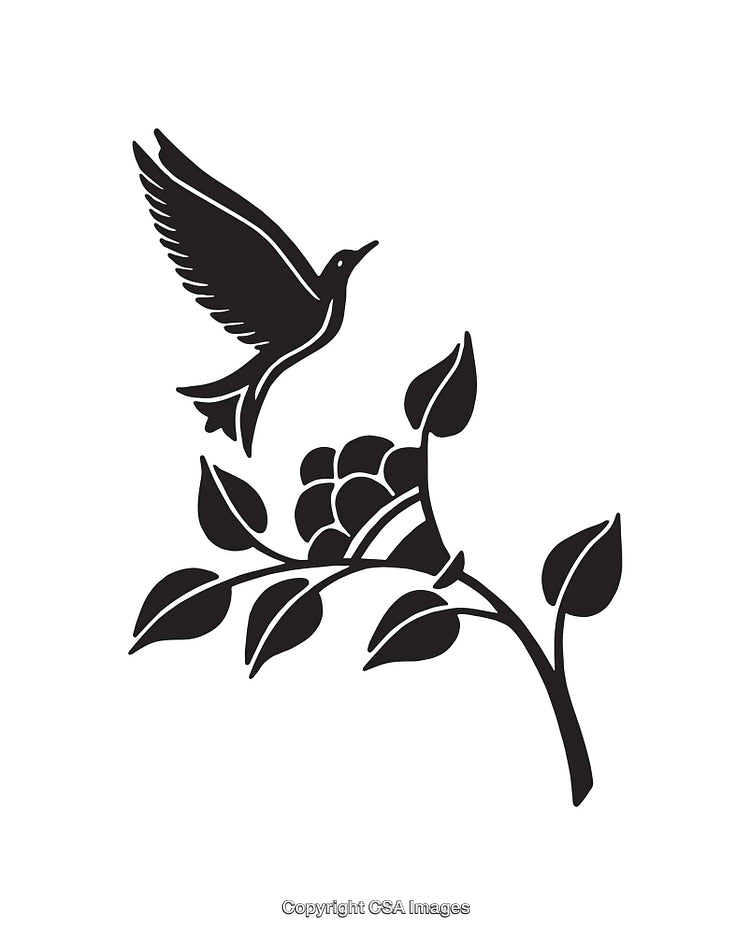 Black and White Bird and Floral Line Art Illustration
