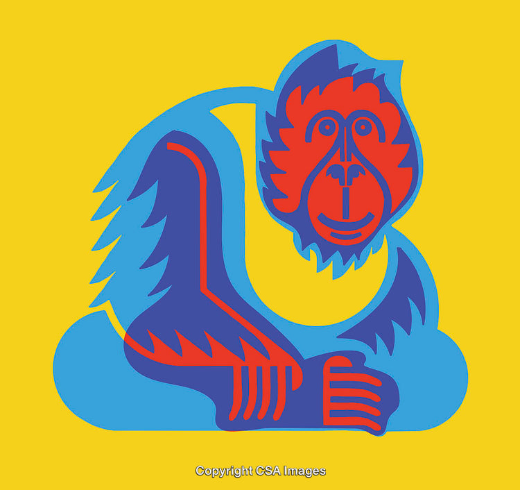 Vibrant Abstract Monkey Illustration in Bold Geometric Colors