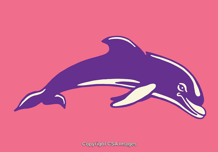 Vibrant Line Art Dolphin Illustration on a Pink Background