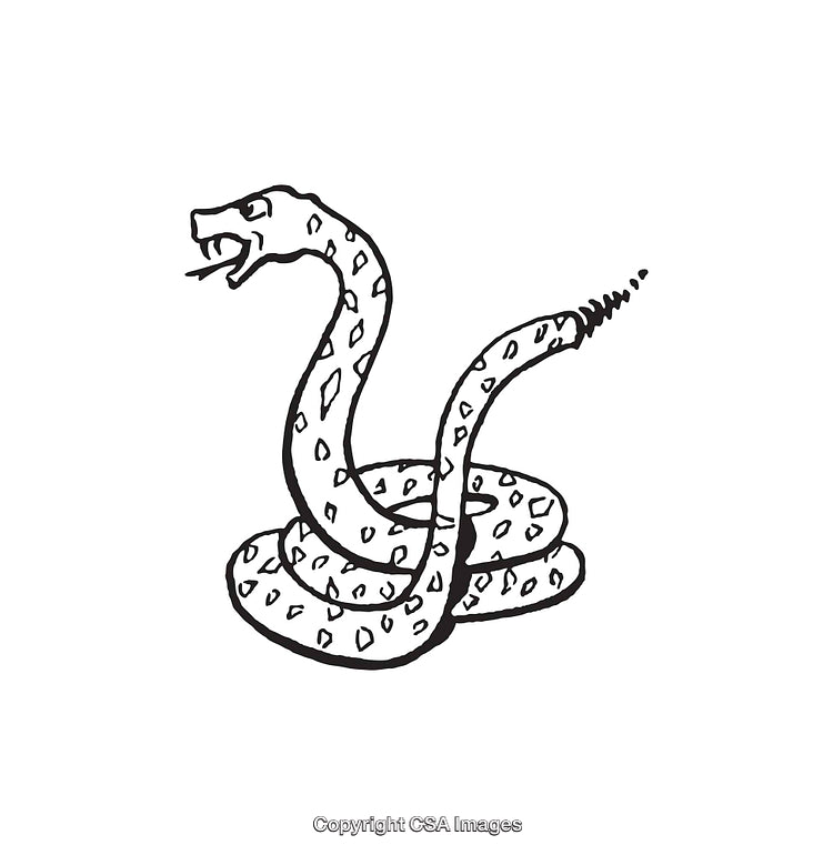 Black and White Line Art Illustration of a Coiled Rattlesnake