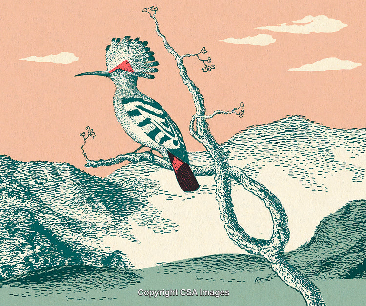 Illustrated Bird Perched on a Branch in Serene Mountain Landscape