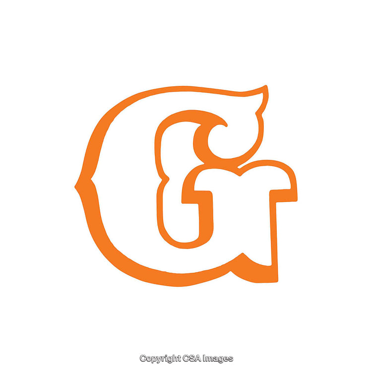 Creative Orange Letter G with Artistic Design in White Background