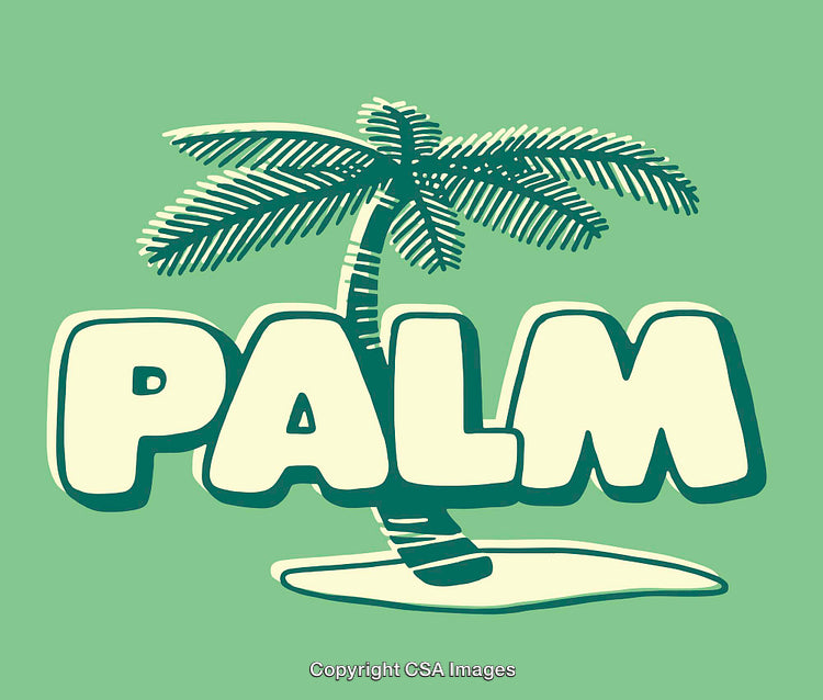Palm Tree Illustration with Bold Typography on Soft Green Background