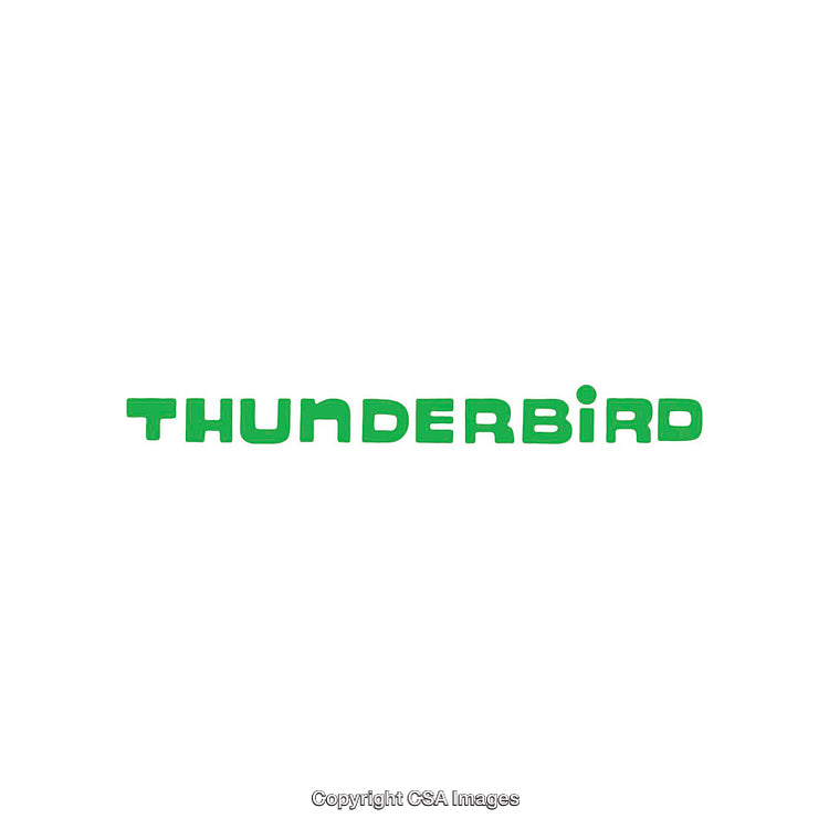 Green Thunderbird Wordmark Design on a White Background