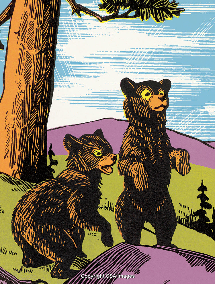 Illustration of Two Bear Cubs in a Forest Environment
