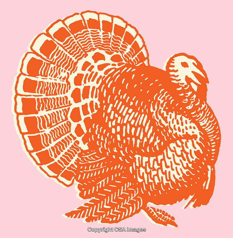Colorful Vintage-Style Line Art Illustration of a Turkey Bird