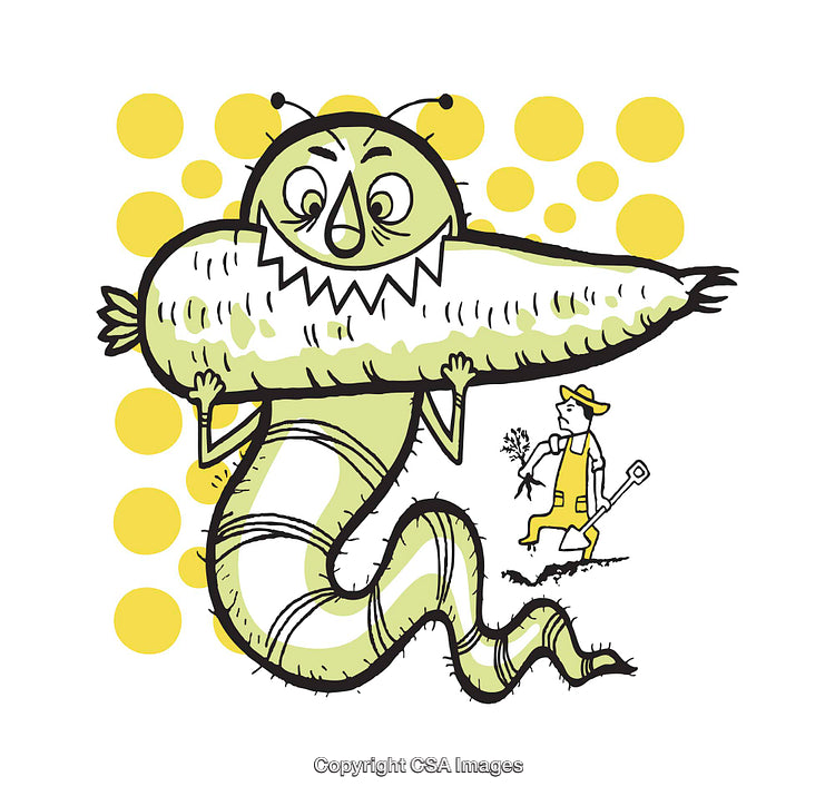 Whimsical Illustration of a Huge Worm Holding a Giant Carrot