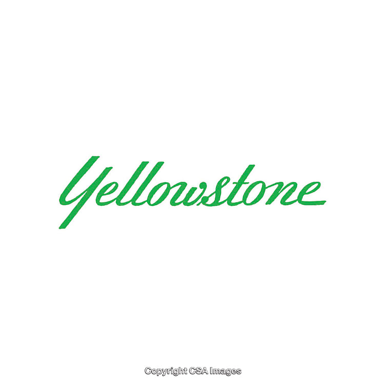 Green Text Reading Yellowstone in Script Font on a White Background