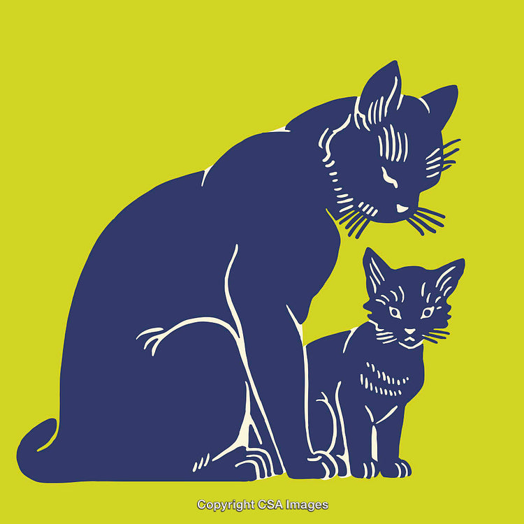 Stylized Illustration of Cats in a Bold Colorful Palette