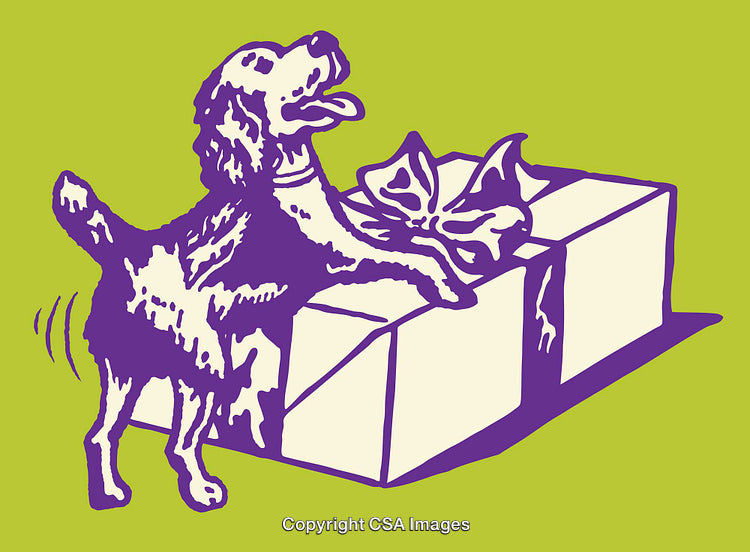 Playful Dog Enjoying a Large Gift Box with Ribbon