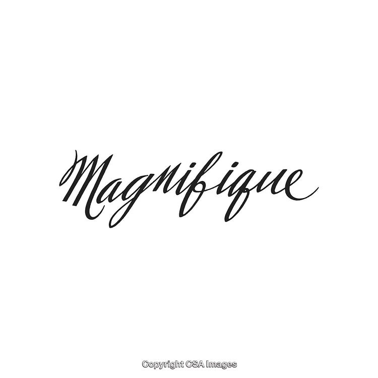 Magnifique Handwritten Calligraphy in Elegant Black Ink on White Background