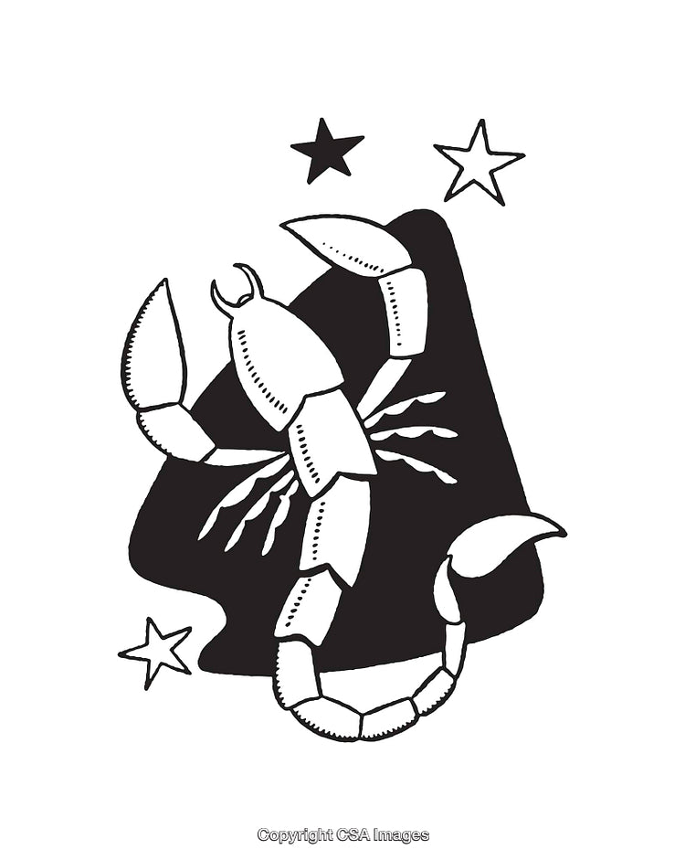 Black and White Line Art Illustration of a Scorpion and Stars
