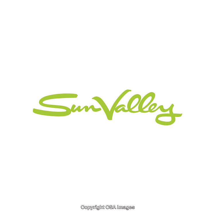 Green Calligraphic Logo Design of Sun Valley on a White Background