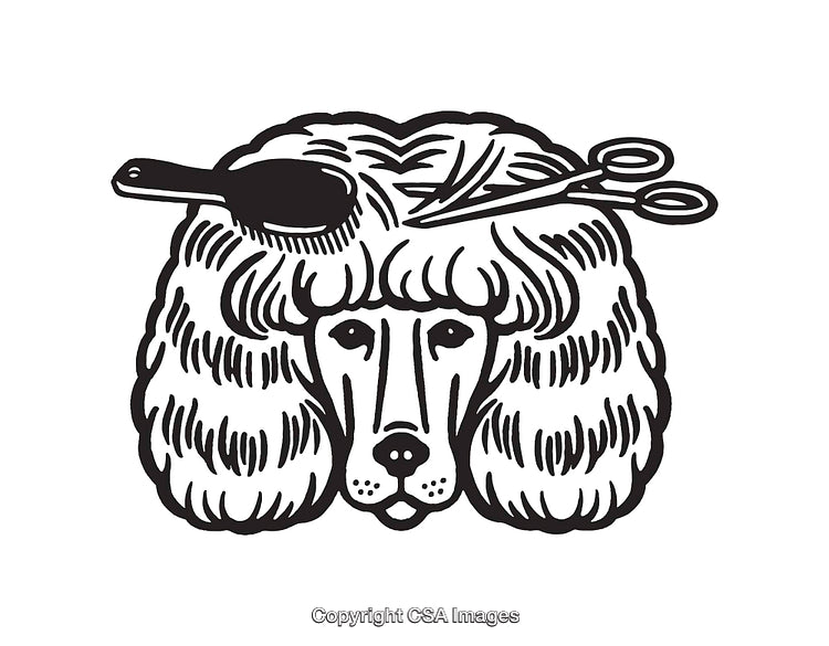 Elegant Black and White Styling Illustration Of a Groomed Dog