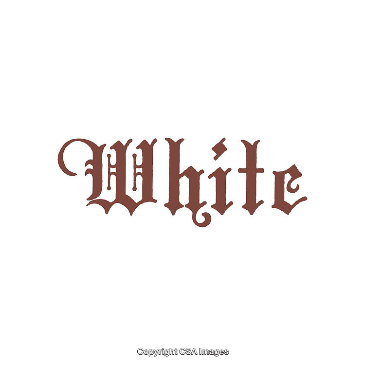 Elegant Calligraphy Brown Text Word "White" on Plain Background