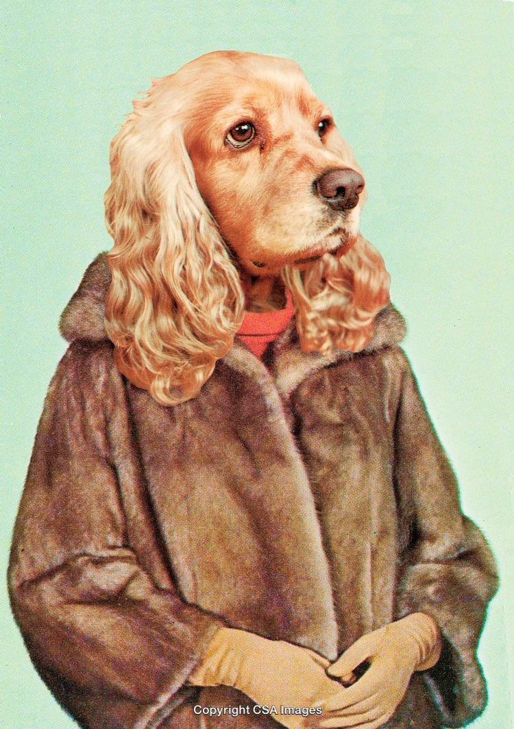 Stylized Portrait of a Dog in Elegant Clothing with a Retro Design