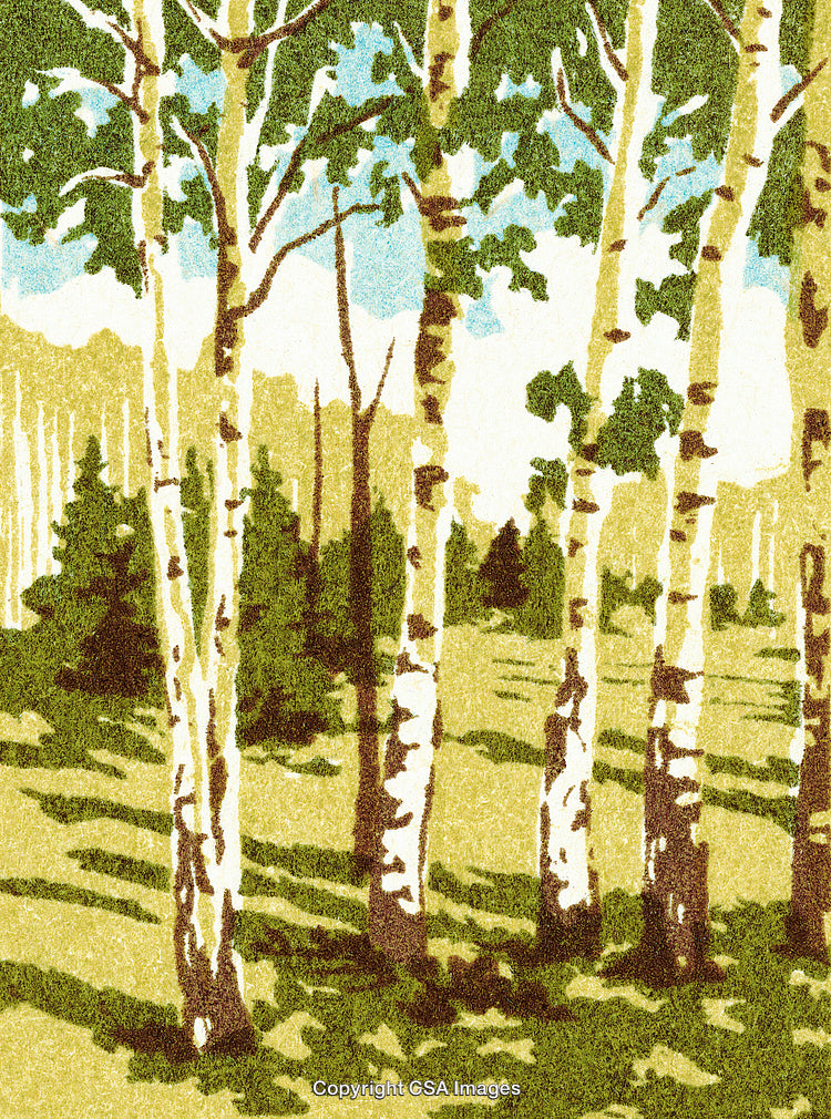 Impressionistic Forest Scene with Birch Trees and Greenery Under Bright Sky