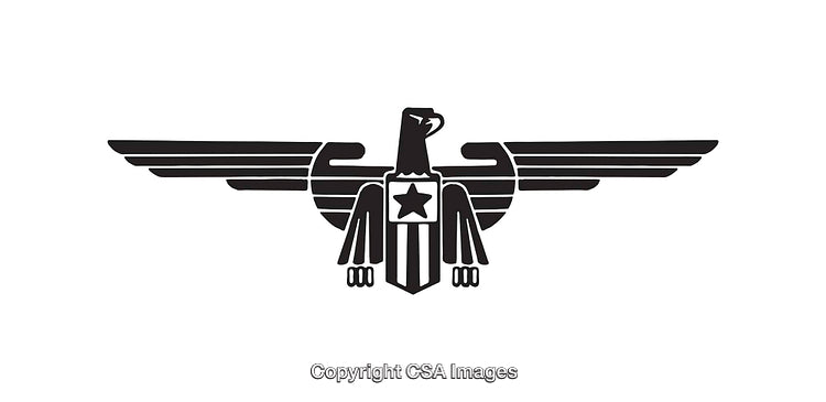 Stylized Black and White Eagle Emblem with Outstretched Wings