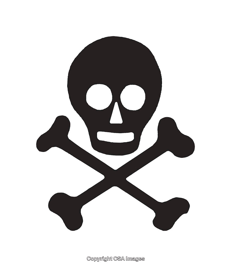 Black and White Skull and Crossbones Icon