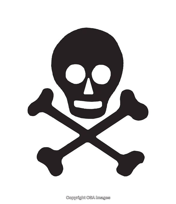 Black and White Skull and Crossbones Icon