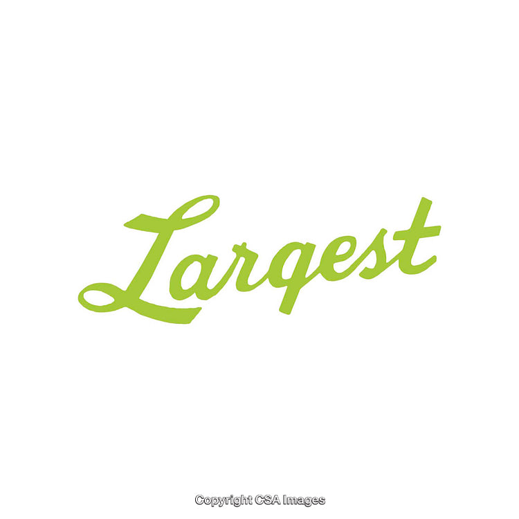 Stylized Green 'Largest' Word in Modern Cursive Font Design