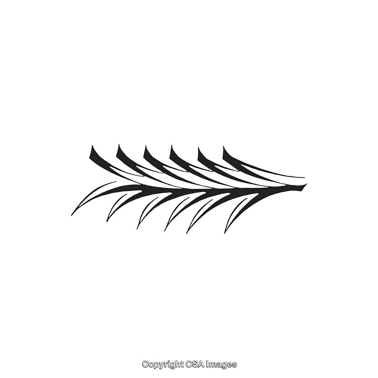 Abstract Black and White Decorative Ornamental Design with Fluid Lines