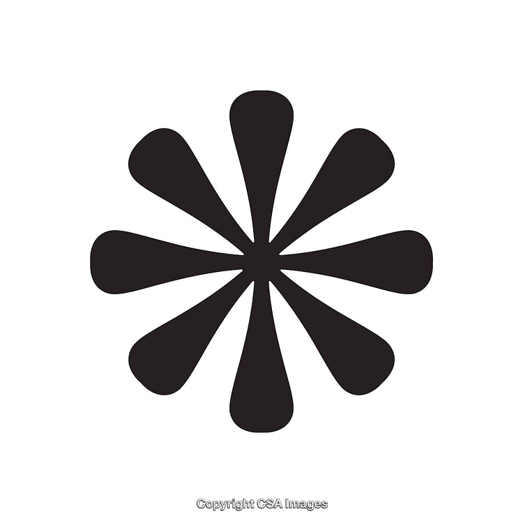 Minimalistic Black and White Asterisk-Shaped Design Element