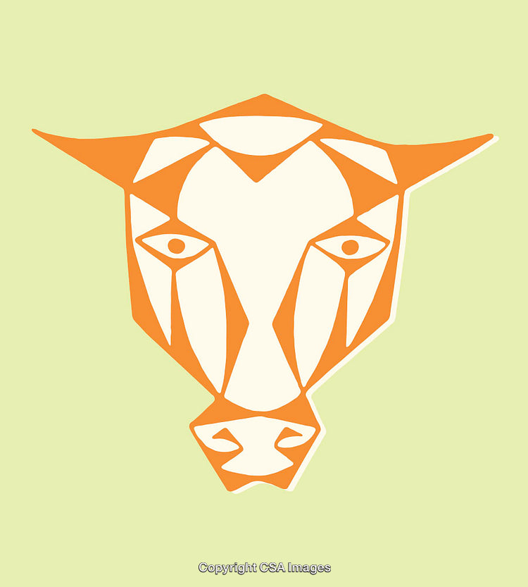 Geometric Orange Bull Illustration on a Green Background