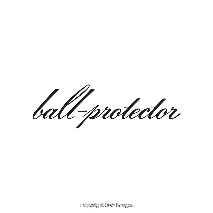 Elegant Script Typography Showcasing the Text 'Ball-Protector' on White Background