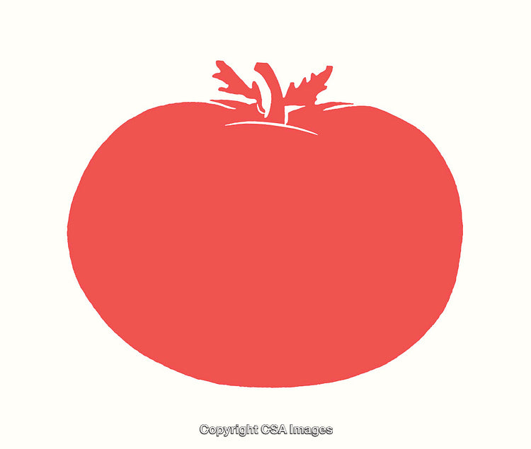 Simple Red Tomato Line Art Illustration on White Background