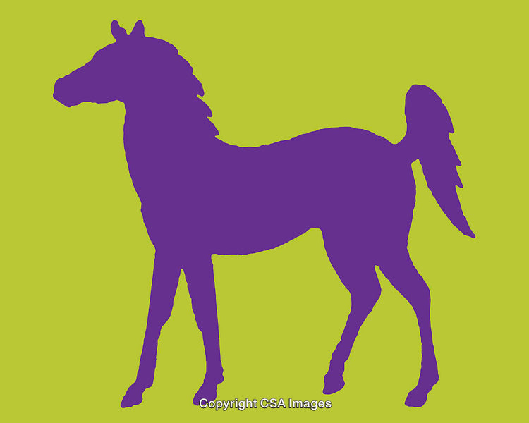 Colorful Artistic Representation of Horse Silhouette on Vibrant Background