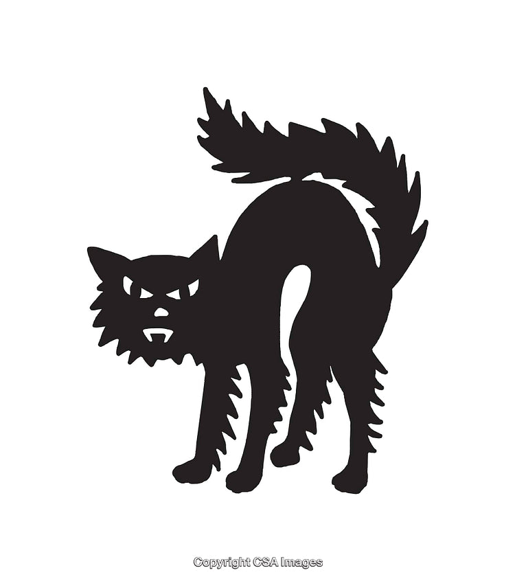 Black and White Silhouette of an Aggressive and Spooked Cat