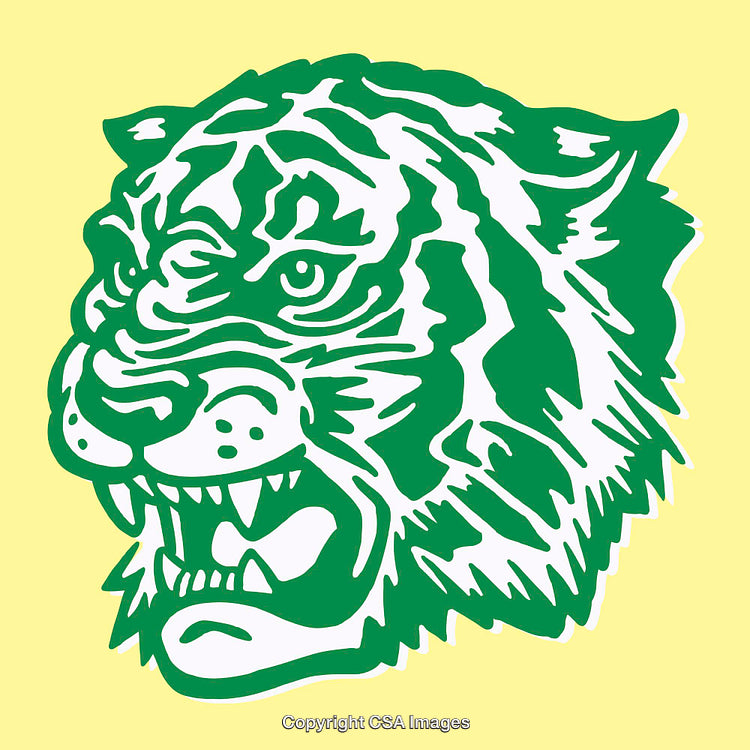 Colorful Graphic Illustration of a Tiger Head on a Yellow Background