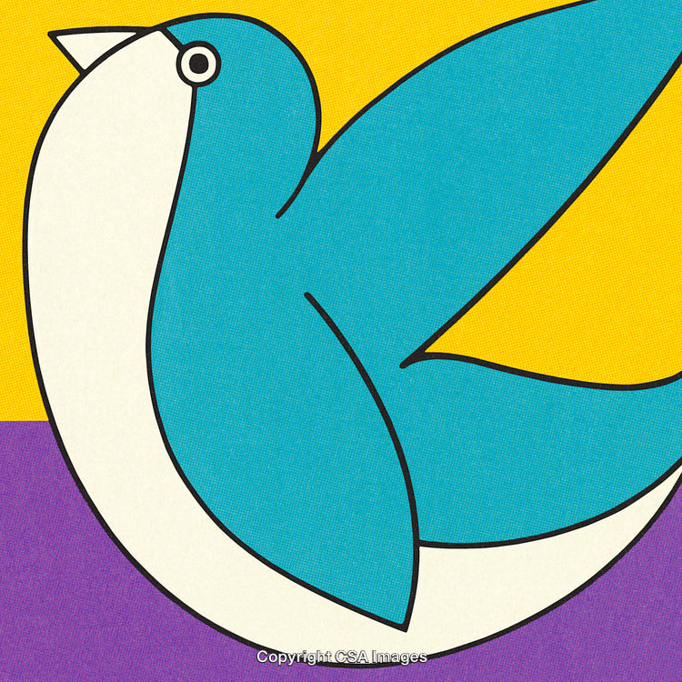Brightly Colored Graphic Illustration of a Blue Bird on Yellow and Purple Background