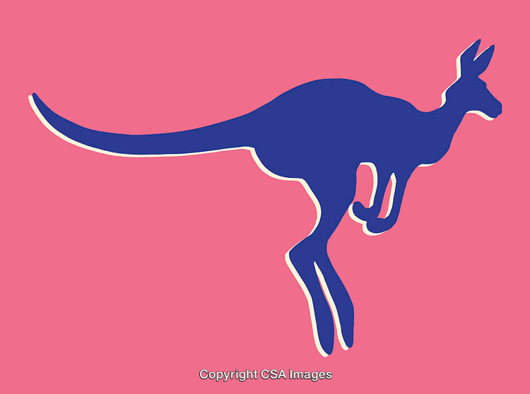 Colorful Kangaroo Silhouette Illustration on Vibrant Pink Background