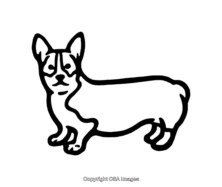 Black and White Illustration of a Standing Corgi Dog Line Art