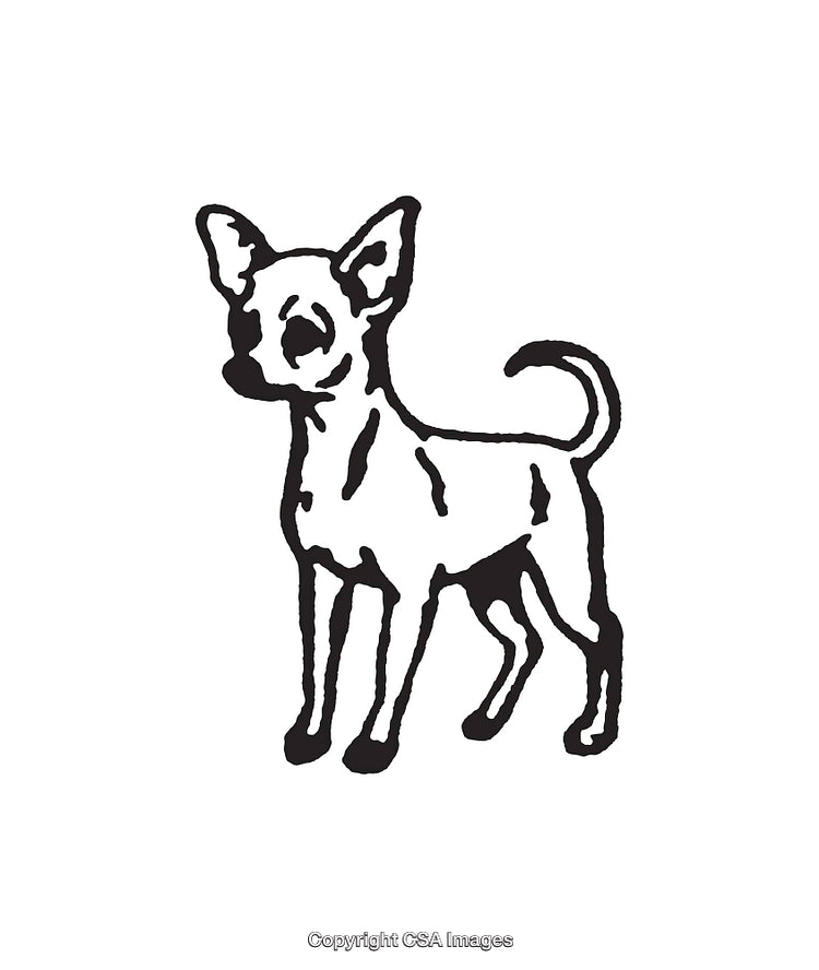 Black and White Line Art Illustration of a Chihuahua Dog Standing