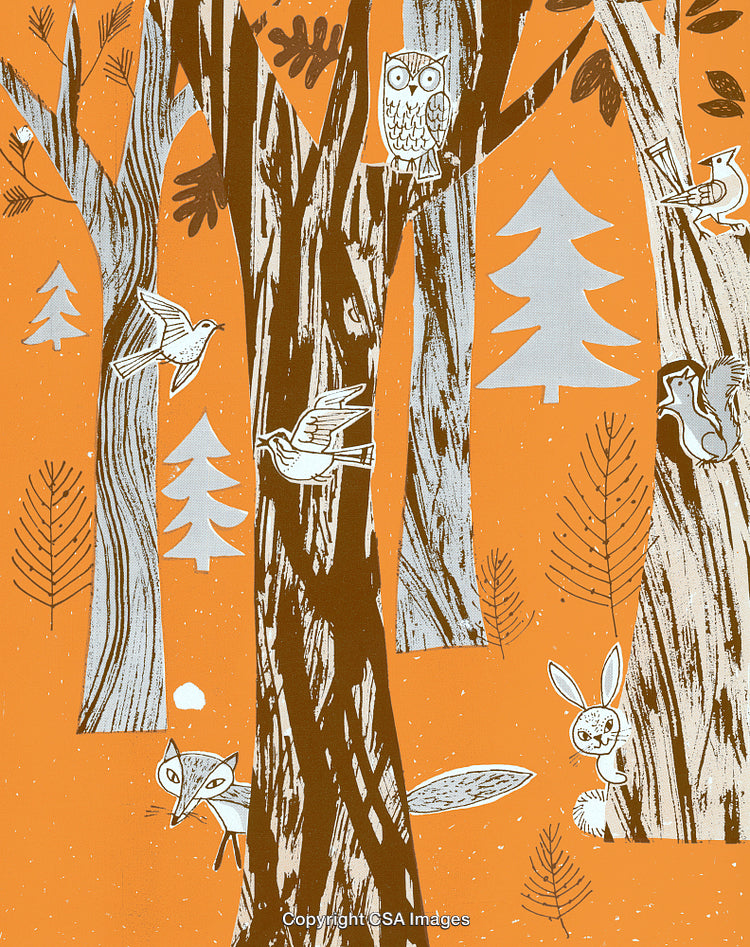 Illustration of a Forest with Animals and Birds Set in Autumn Colors
